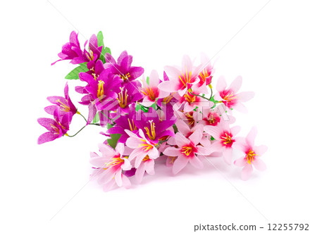 Close up of pink flowers. 12255792