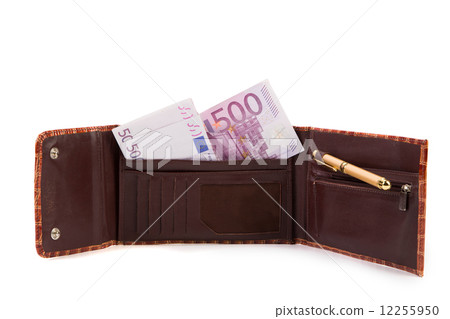 Wallet with euro banknotes. Wallet with euro banknotes. 12255950