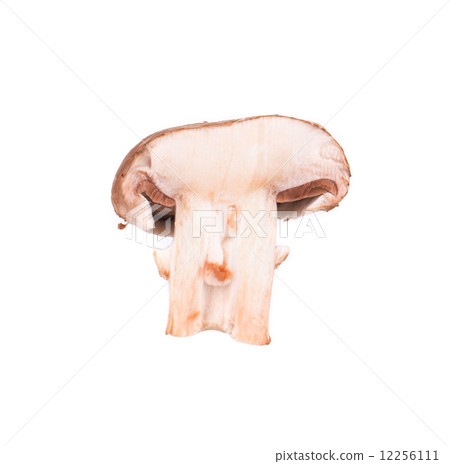 White mushroom close up. White mushroom close up. 12256111