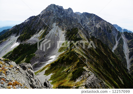 Large killet 12257099