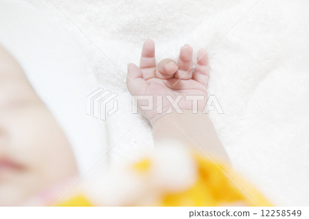 Baby hand 12258549