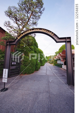 Ivy Square Ivy Square 12258835