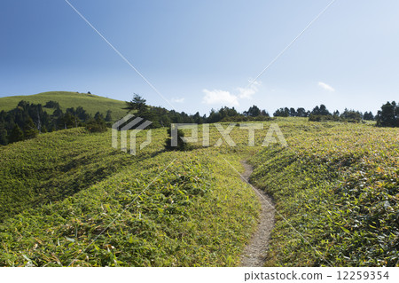 Path of steppe Path of steppe 12259354