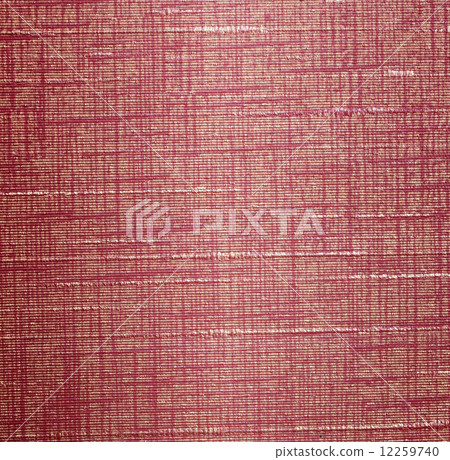 Vinyl Wallpaper wall. 12259740