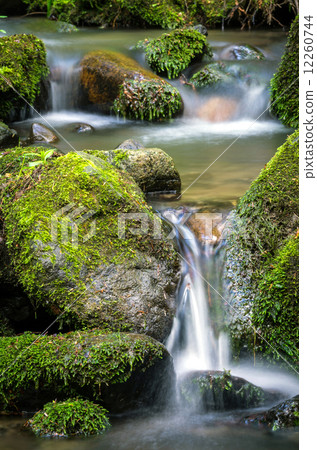 mountain stream mountain stream 12260744