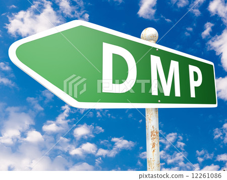 Data Management Platform 12261086
