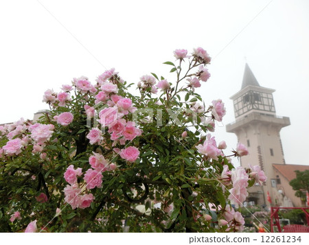 Chateau Rose Chateau Rose 12261234