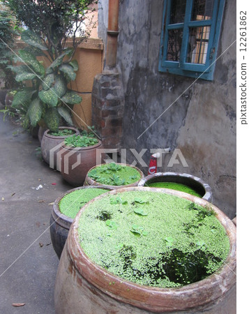 Alley of Amoy Gulangs Island 12261862