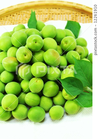 清初夏的形象·竹梅和梅葉·垂直位置 清初夏的形象·竹梅和梅葉·垂直位置 12261910