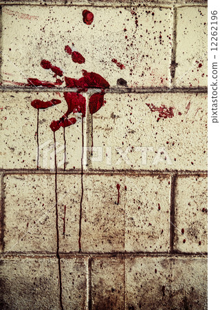Bloodstain of suffering on wall Bloodstain of suffering on wall 12262196