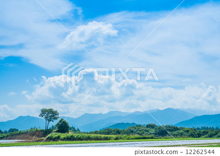 Nobeyama Plateau 12262544
