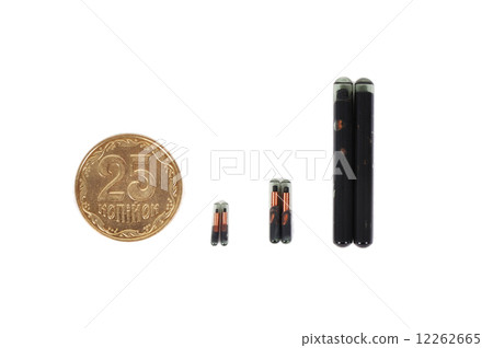 coin and animal implant coin and animal implant 12262665
