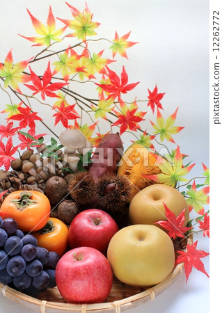 Colorful autumn taste 12262772