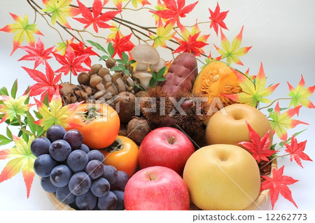 Colorful autumn taste 12262773