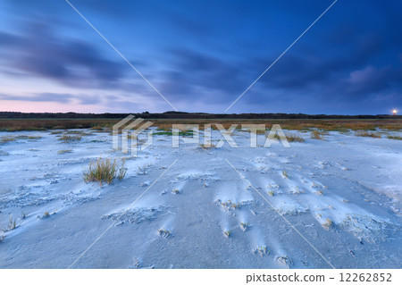 windy sand beach on North sea in dusk windy sand beach on North sea in dusk 12262852