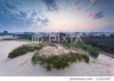 misty summer sunrise over sand dune misty summer sunrise over sand dune 12262907