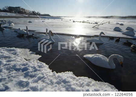十胜河在冬天 12264056