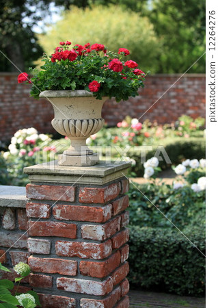 Vase with red roses Vase with red roses 12264276