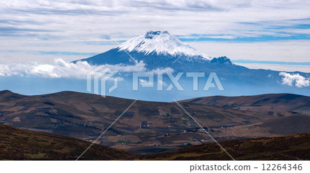 Cotopaxi volcano over the plateau, Andean Highlands of Ecuador, 12264346