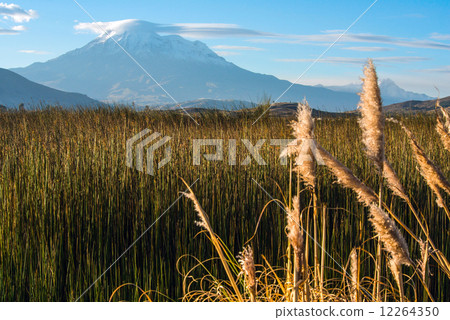 Mighty Chimborazo Volcano. Ecuador's highest summit 12264350