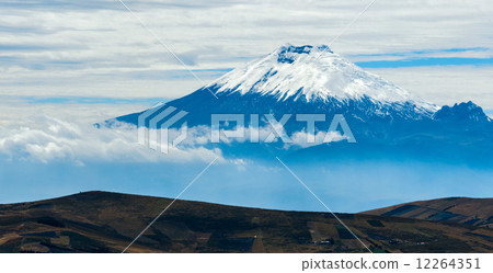 Cotopaxi volcano over the plateau, Andean Highlands of Ecuador, 12264351