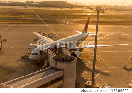 air plane, airplane, plane 12264725