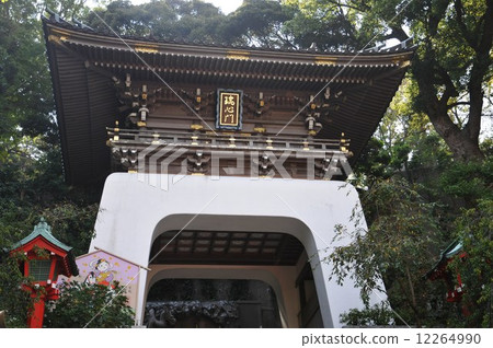 Enoshima Shrine 12264990