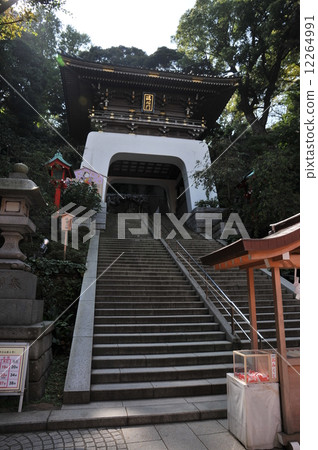 Enoshima Shrine 12264991