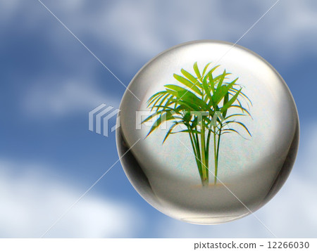 Environmental image 12266030