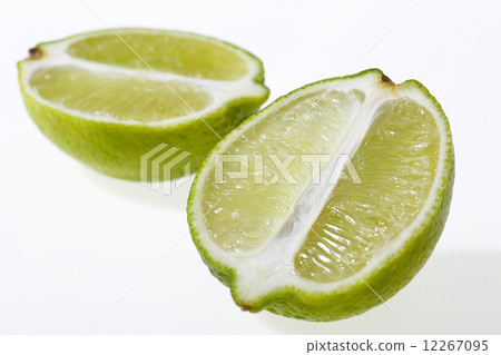 lime  12267095
