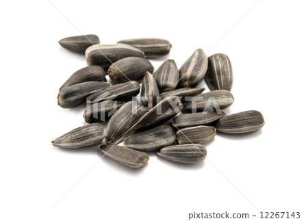 sunflower seed sunflower seed 12267143