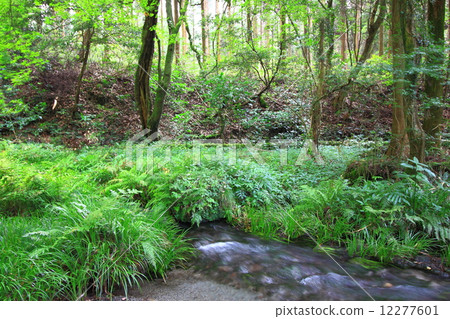 Flow from Ikeyama source Flow from Ikeyama source 12277601