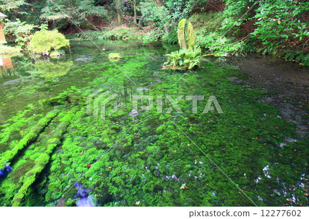 Ikeyama water source Ikeyama water source 12277602