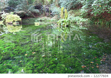 Ikeyama water source Ikeyama water source 12277604