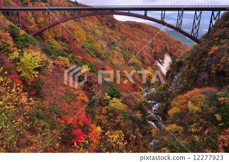 Tsubakuro Valley 12277923