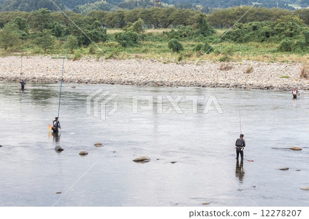 Yuyu fishing scenery Yuyu fishing scenery 12278207