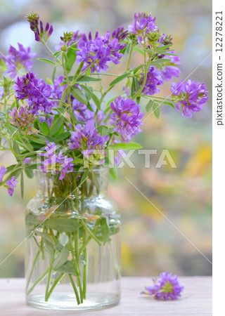 Bouquet flower in vase 12278221