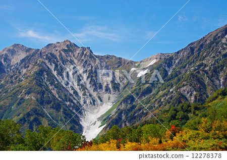 Tsugaike自然公園Hakuba Daisetsuki 12278378