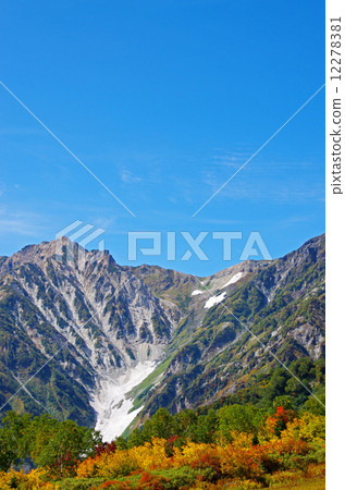 Tsugaike自然公園Hakuba Daisetsuki 12278381