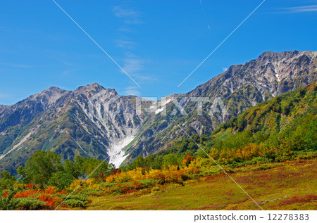 Tsugaike自然公園Hakuba Daisetsuki 12278383