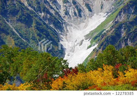 Tsugaike自然公園Hakuba Daisetsuki 12278385