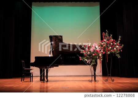 Grand piano  12278808