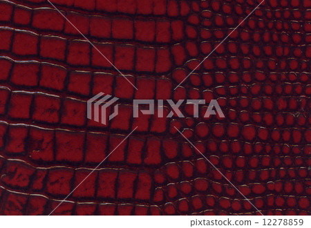crocodile red leather texture 12278859