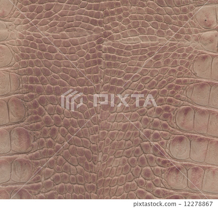 pink and brown crocodile leather texture 12278867