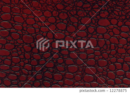 red and black crocodile leather texture 12278875