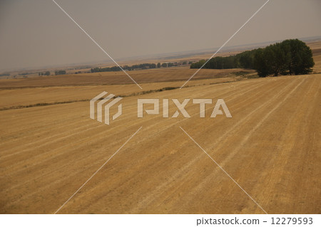 卡斯蒂利亞萊昂 12279593