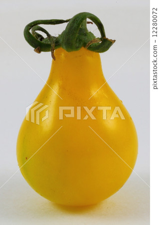 YellowTomato YellowTomato 12280072