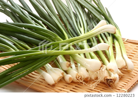 Waki Japanese food white background 12280223