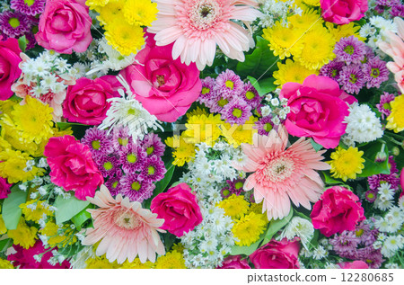 fresh flower fresh flower 12280685