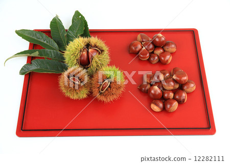 Chestnut fruit Chestnut fruit 12282111